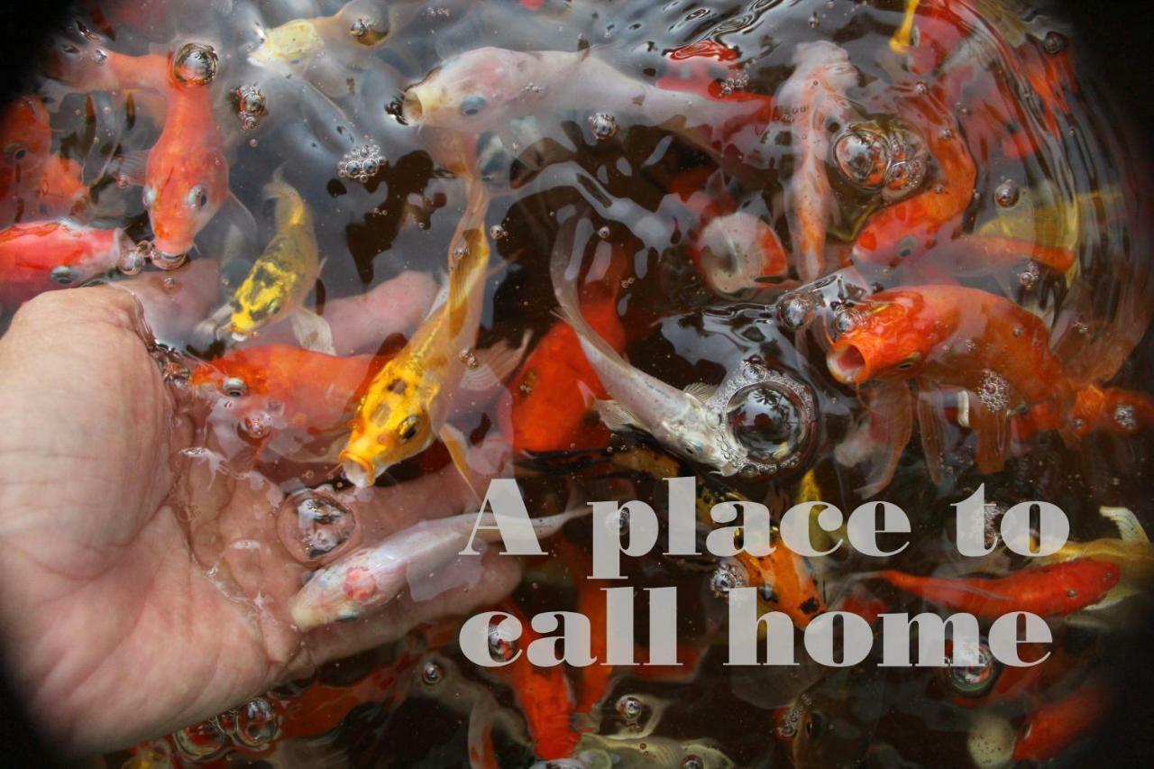 Thach Thao Homestay Митхо Экстерьер фото